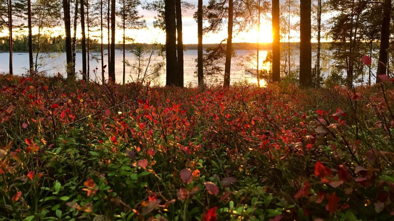 Villa Koskenselaen Lomakylae Puumala Esterno foto