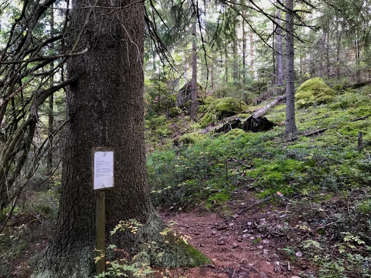 Villa Koskenselaen Lomakylae Puumala Esterno foto