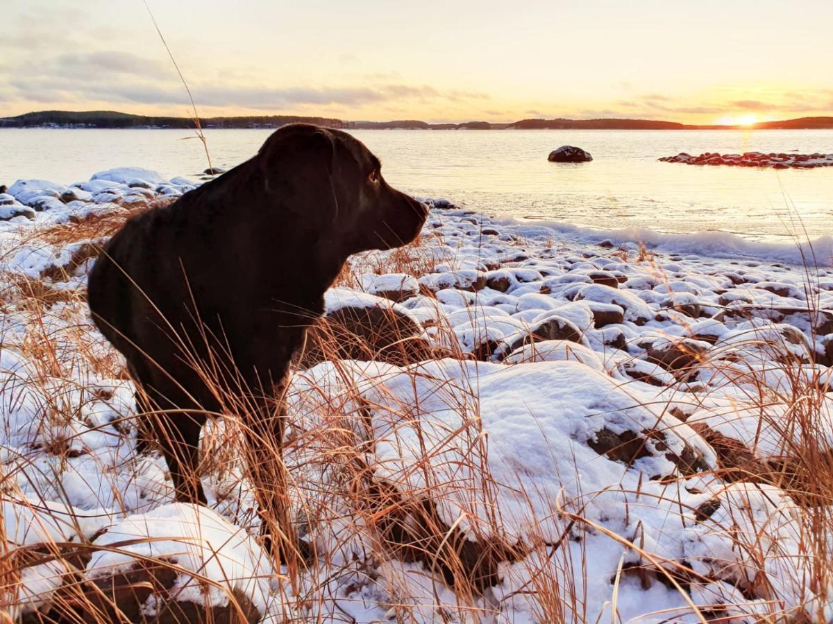 Villa Koskenselaen Lomakylae Puumala Esterno foto